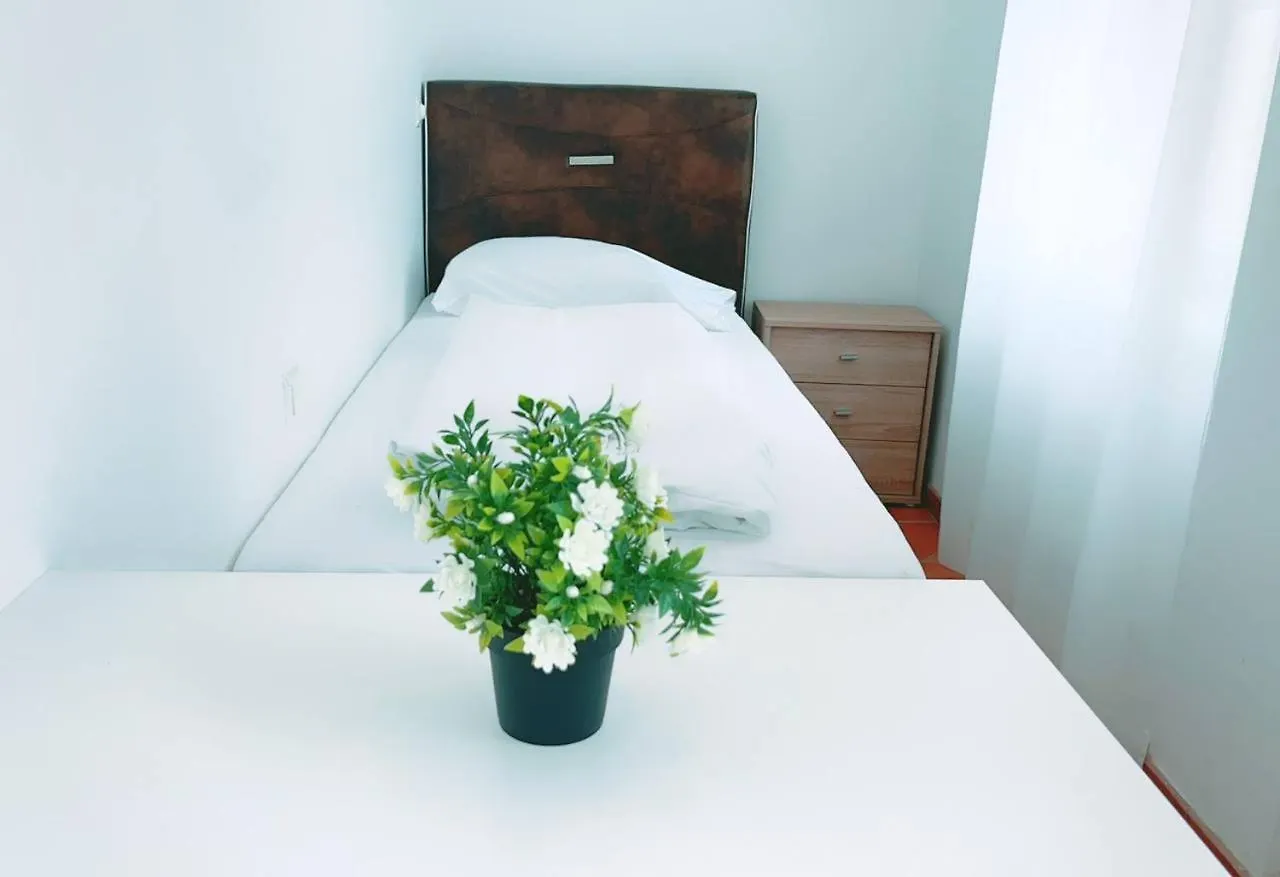 Zx Triple Room In Keplerplatz Vienna Homestay